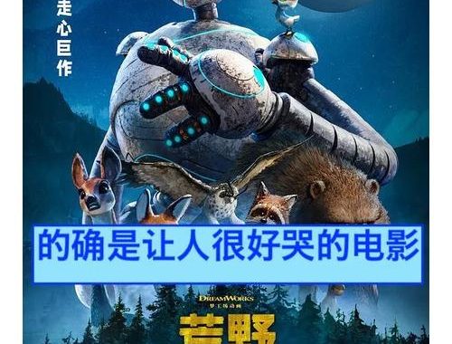 荒野机器人免费观看：探索未来科技的奇幻之旅