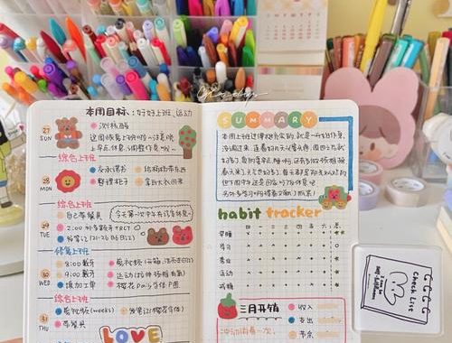 身体障害者手帐等级：提升生活品质的关键工具