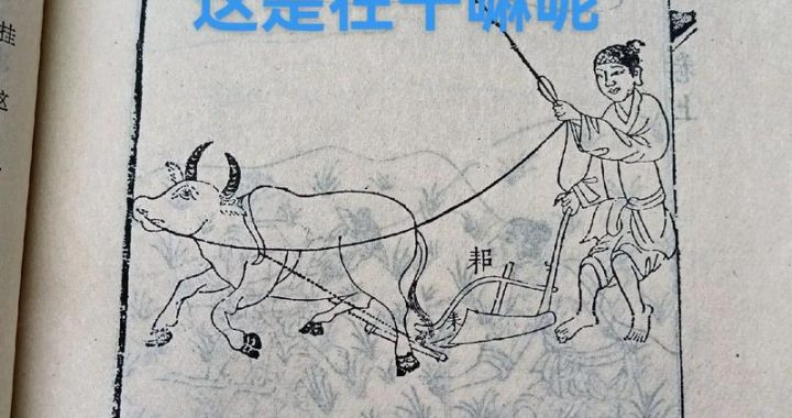 仙工开物百科：探索古代科技智慧与现代应用