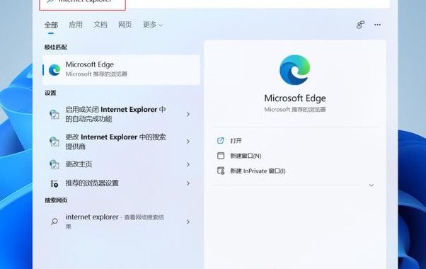 ie浏览器网页版：全面解析与使用指南