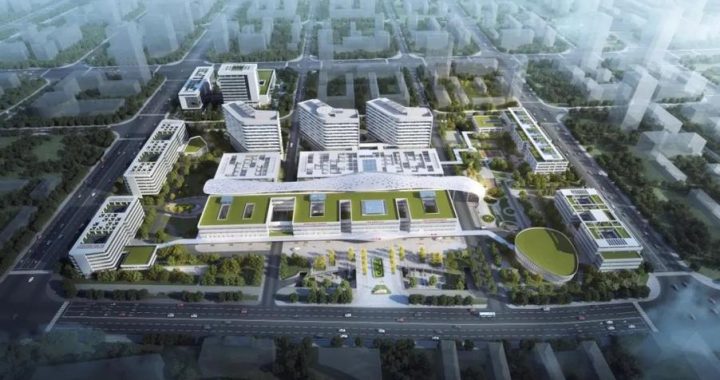 地域医疗支援病院：构建跨地区医疗协作的新模式