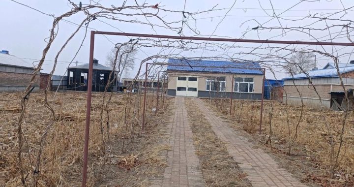 平镇双连段土地判决分割：历史纠纷与法律裁决的深度解析