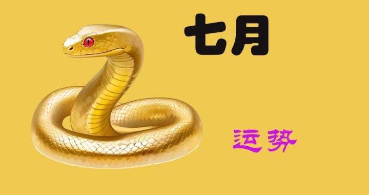 蛇年生肖运势：智慧与变革的交织之年