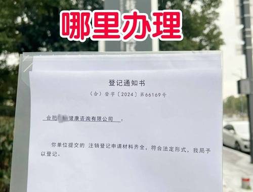 营业执照在哪里办理：全面指南与步骤解析