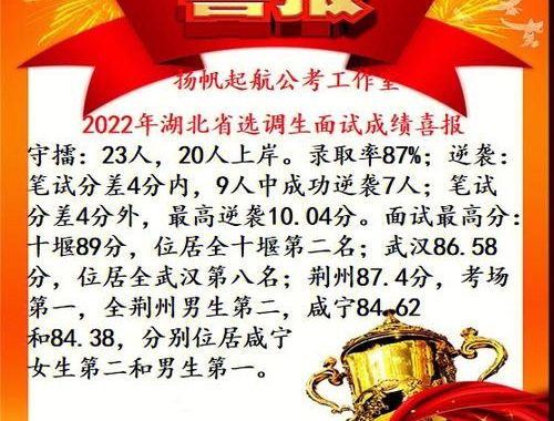 湖北选调缴费：详细指南与注意事项