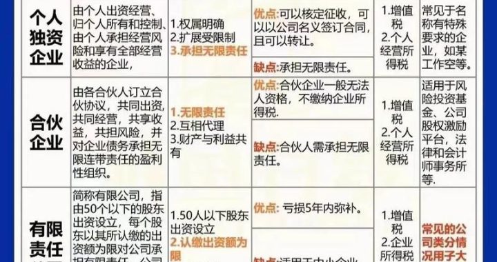 公司性质是指什么：全面解析企业分类与特征