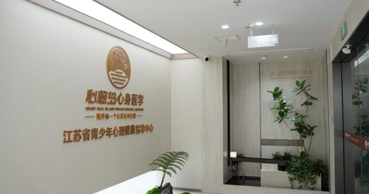 润和会记念病院：卓越医疗与人文关怀的典范