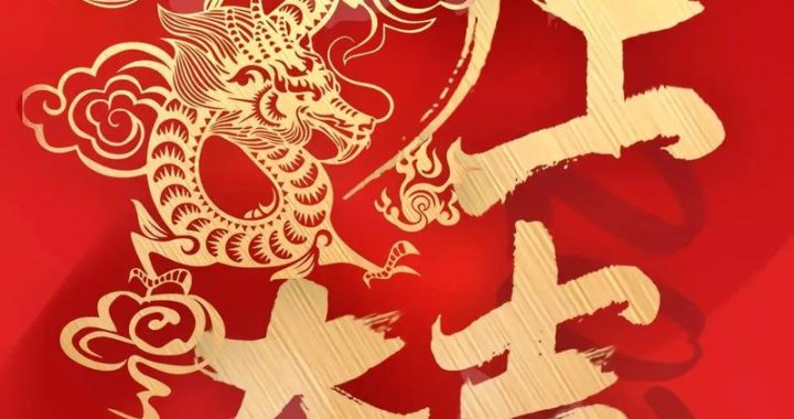一季度开门红：企业策略与市场活力双轮驱动下的辉煌开局