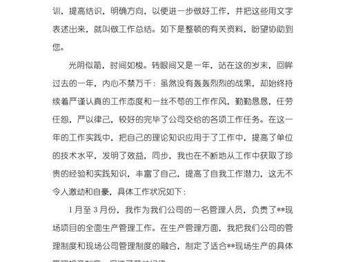 本年度工作总结：成就、挑战与未来展望