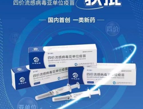 亚单位流感疫苗：科技守护健康的创新选择