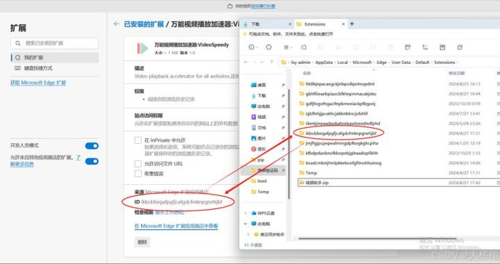 IDM浏览器插件：提升下载速度与效率的终极工具
