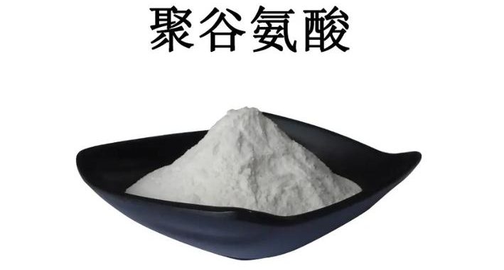谷氨酸分子量及其生物化学特性详解