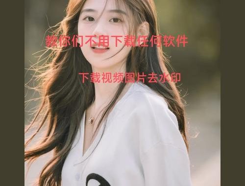 嗡嗡蜂去水印全网图文视频解析器：全面解析与深度评测