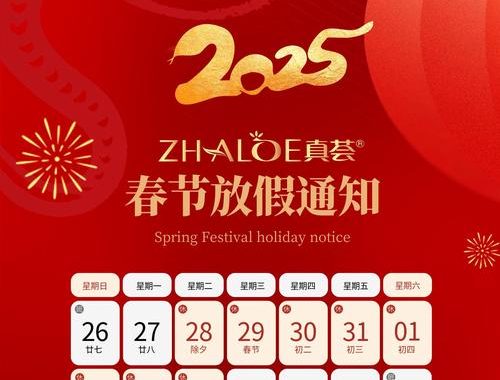 25春节放假安排：详细指南与注意事项