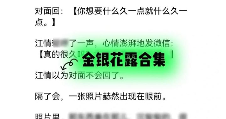 大小剑师by金银花露：剑影交错下的奇幻冒险之旅