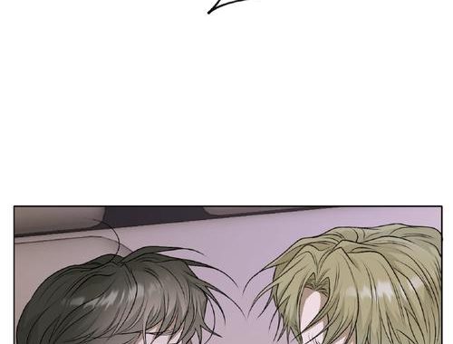 花凋落的池塘漫画：一幅幅细腻描绘生命轮回的画卷