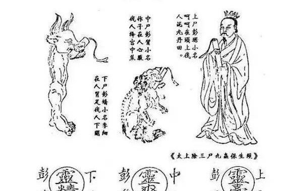 金鳞岂是池中物txt：一部探讨命运与奋斗的励志小说