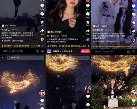 抖音网页版、全面解析与使用指南