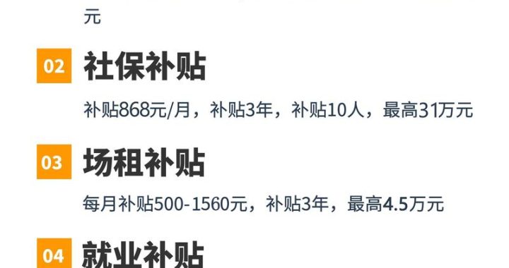 中小企业 补助金：全面解析申请流程与策略