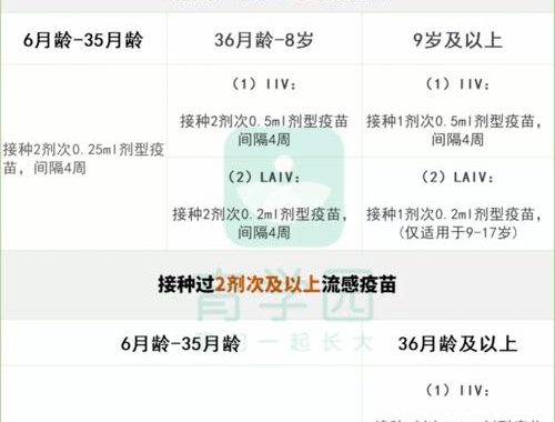 流感疫苗多久能产生抗体：详细解析与注意事项