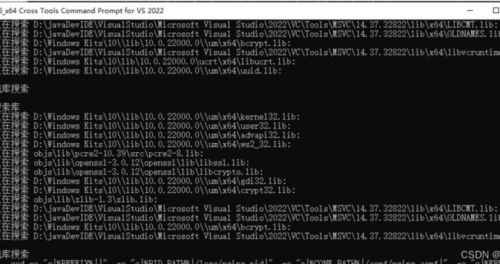 WindowsNginx启动：详细步骤与配置指南