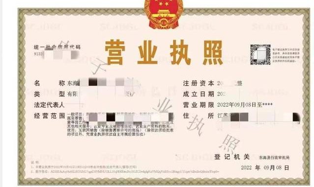 电子营业执照怎么下载：详细步骤与注意事项