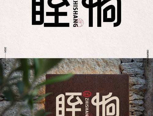 字体设计免费：探索无限创意与资源