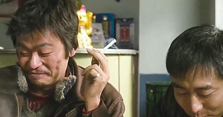 树先生在线观看：深度解析与观影指南