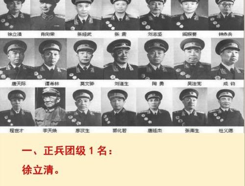 上将是什么级别的干部：军衔体系中的最高荣誉