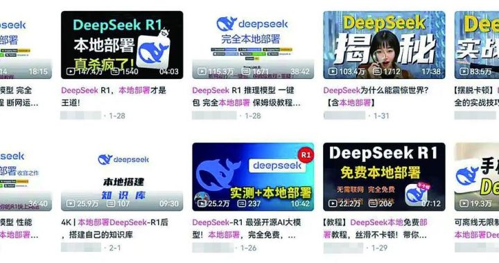 本地部署deedeepseek：从安装到配置的全面指南