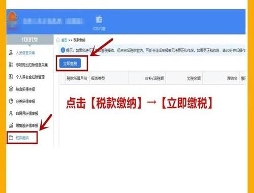 企业个人所得税如何申报：详细步骤与注意事项