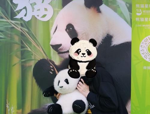 萌兰硬控无敌年味仪式感：打造新春最萌庆典