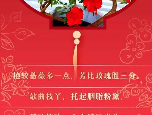更祝明朝风日好，梅花满眼踏新年 —— 迎新习俗与美好愿景