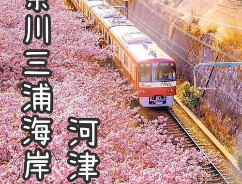 旅行先神奈川県：探索自然美景与都市风情的完美融合