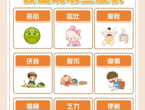 消化不良怎么办？全面指南助你缓解不适