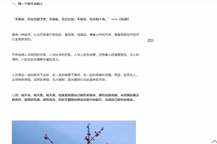 天命之上txt下载
