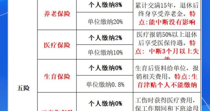五险一金在哪里查询：全面指南与操作步骤