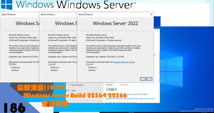 Windows许可证只支持一种显示语言：深入解析与应对策略