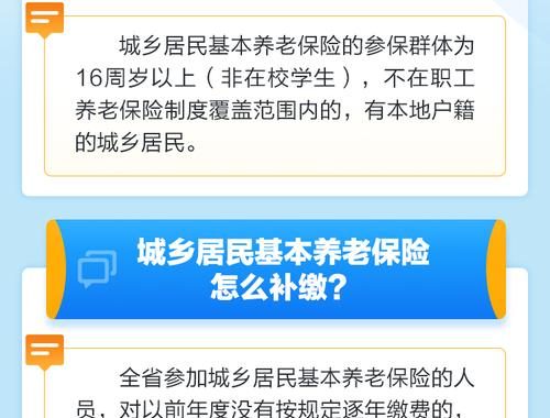 城乡居民养老保险补缴：全面指南与注意事项