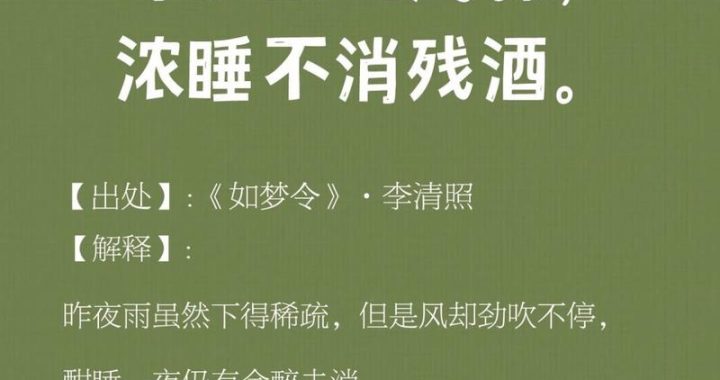 昨夜雨疏风骤，晨间花落叶满径