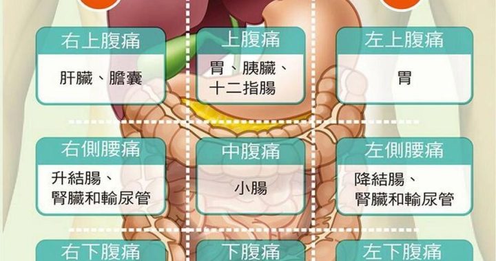 肚子左边疼是什么情况？全面解析与应对指南